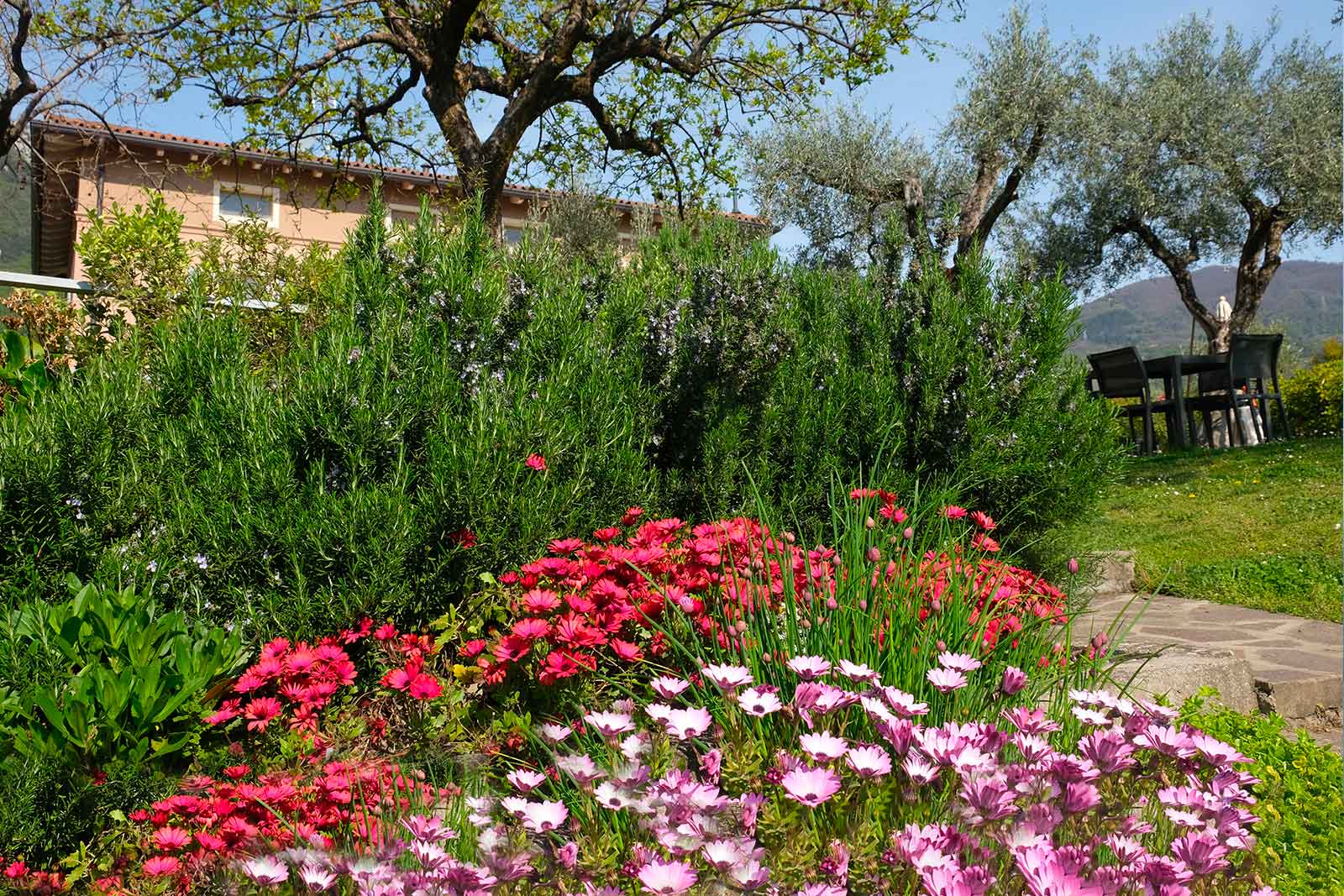 Giugno sul Lago di Garda: dove natura e cultura si incontrano