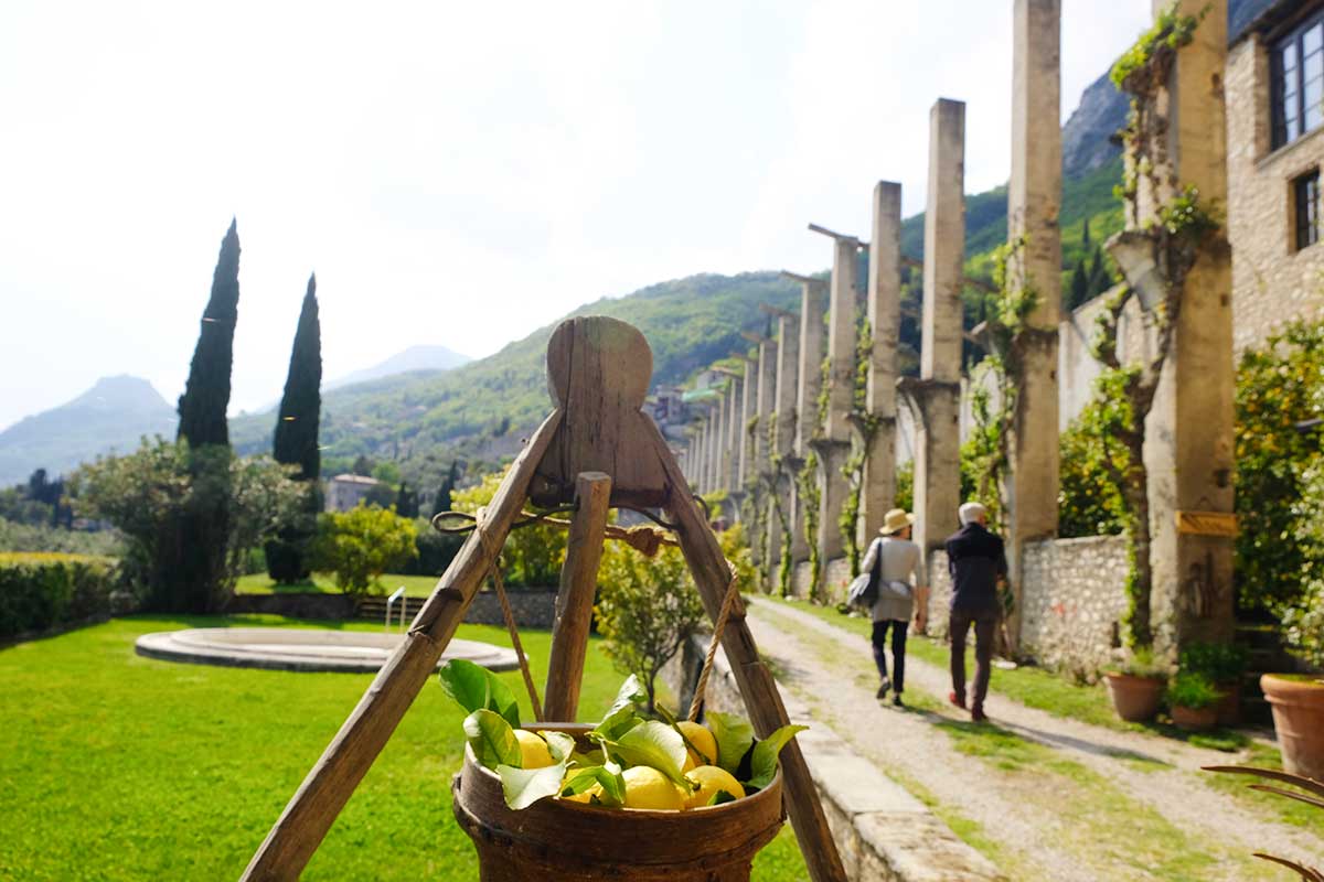 Zitronenfest in Gargnano, Giardini d'Agrumi 2024