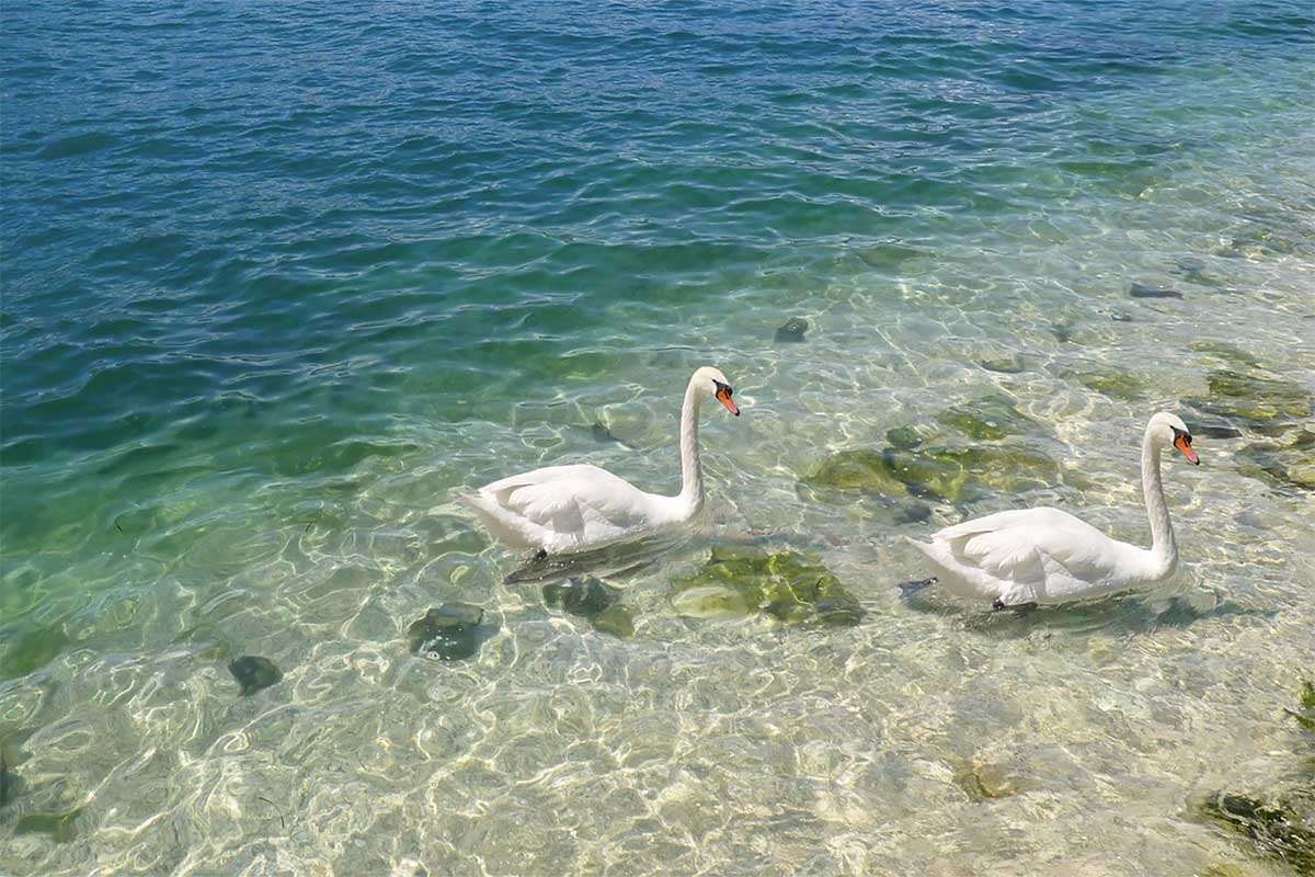 Beaches on Lake Garda