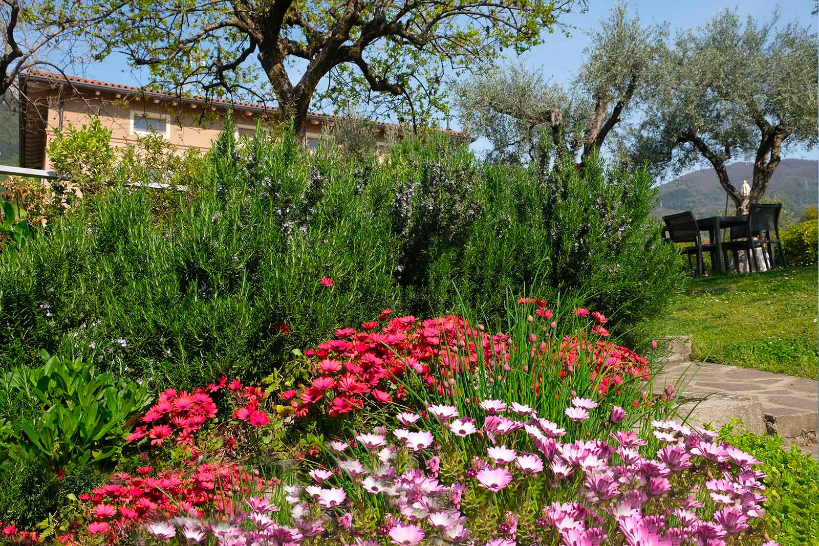 June on Lake Garda: where nature and culture meet