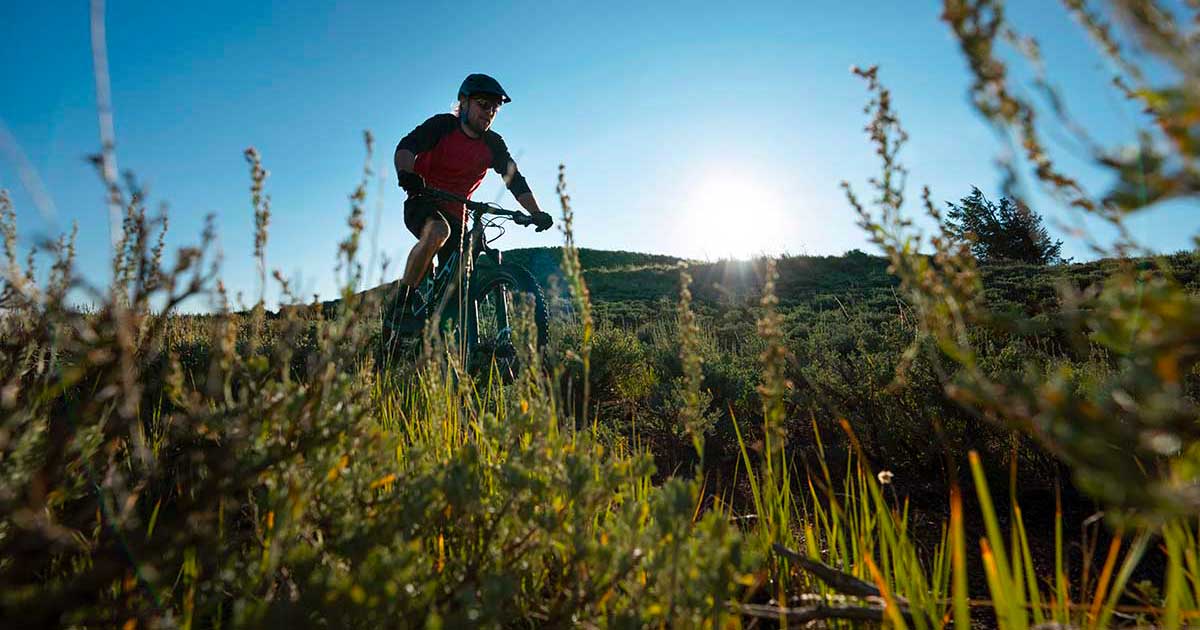 Fahrradverleih am Gardasee