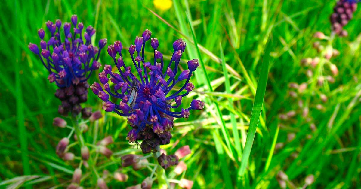 Camminate nella natura