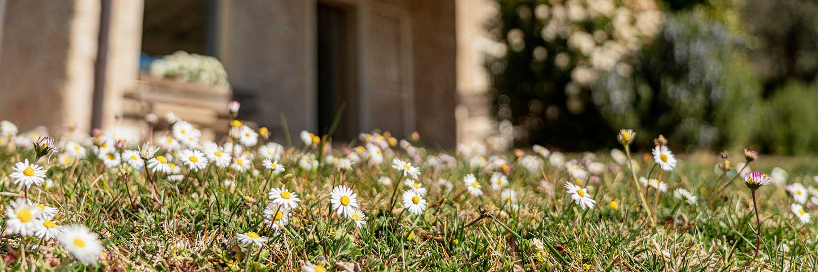 Holidays in an eco-lodge: an experience in contact with nature